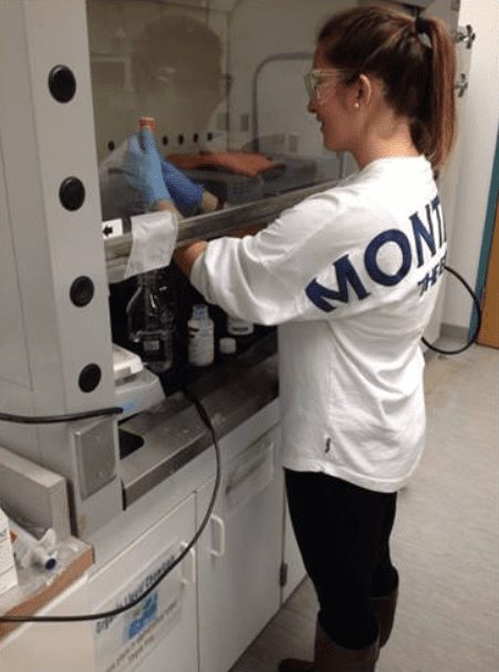 Student working the lab - Spring 2016