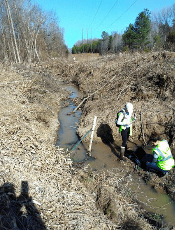 Honors students collecting data in the field 